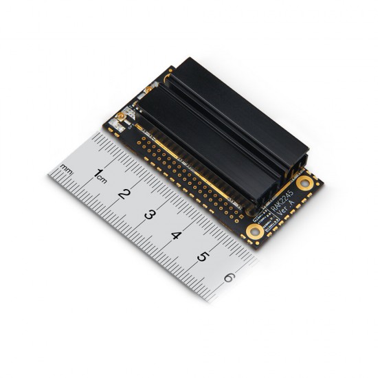 RAK2245 Gateway Stamp Module Based on SX1301 Integrated GPS Module RAK831 Upgraded Version RAK2245 Gateway Stamp Module Based on SX1301 Integrated GPS Module RAK831 Upgraded Version