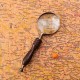 Landnics 10X Handheld Magnifying Glass Lens Magnifier Optical Eye Reading 210mm Landnics 10X Handheld Magnifying Glass Lens Magnifier Optical Eye Reading 210mm