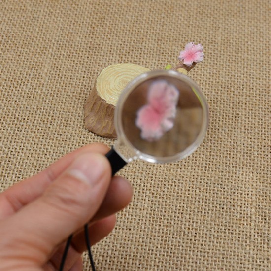 Mini Portable 5x Lanyard Magnifier For Mobile Phone Magnifying Glass Mini Portable 5x Lanyard Magnifier For Mobile Phone Magnifying Glass