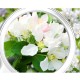 TH7006 Multifunctional Desktop Handheld Magnifier Adjustable Angle Reading Loupe Watch Repair Magnifying Glass LED Desk Lamp TH7006 Multifunctional Desktop Handheld Magnifier Adjustable Angle Reading Loupe Watch Repair Magnifying Glass LED Desk Lamp