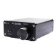 GU100 Tpa3116 2x100W HIFI Lossless Class D Audio Digital Power Amplifier