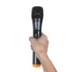 LED Display 2 Channel Karaoke Wireless Handheld Microphone Cordless Dual Mic System with Receiver