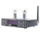 DP-02 6K4 MINI HiFi bluetooth Audio Tube Headphone Amplifier Support USB SD Card DP-02 6K4 MINI HiFi bluetooth Audio Tube Headphone Amplifier Support USB SD Card