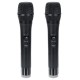 Professional UHF Double Wireless Handheld Karaoke Microphone with 3.5mm Receiver