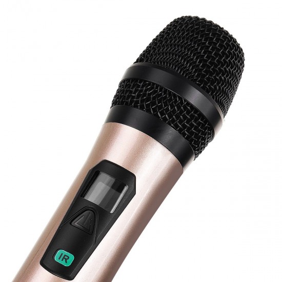 Wireless Microphone Mic System UHF 2 Channel Dual Handheld Karaoke