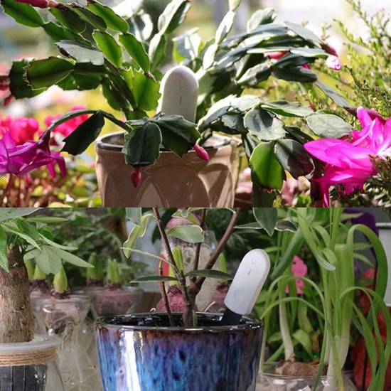 Plant Testing Tool Garden Soil Monitor Smart Home Detect Monitor With Light Indicator Dry Wet Portable Humidity Meter Plant Testing Tool Garden Soil Monitor Smart Home Detect Monitor With Light Indicator Dry Wet Portable Humidity Meter