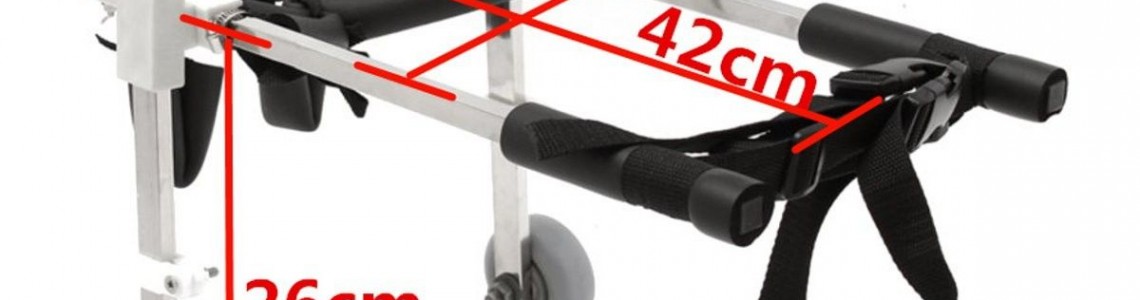 cyberebee pet wheelchair: a great way to give your pet a new lease on life