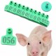 100Sets Green Animals Cattleoat Pig Sheep Use Ear Number Tag Livestock Tags Labels 100Sets Green Animals Cattleoat Pig Sheep Use Ear Number Tag Livestock Tags Labels