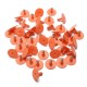 100Sets Orange Green Animals Cattleoat Pig Sheep Use Ear Number Tag Livestock Tags Labels 100Sets Orange Green Animals Cattleoat Pig Sheep Use Ear Number Tag Livestock Tags Labels