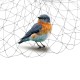 10/20/100m Fruit Crop Plant Knitted Anti Bird Netting Pest Net Prevent Huting Catching 2x2cm Mesh