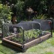 10/20/100m Fruit Crop Plant Knitted Anti Bird Netting Pest Net Prevent Huting Catching 2x2cm Mesh 10/20/100m Fruit Crop Plant Knitted Anti Bird Netting Pest Net Prevent Huting Catching 2x2cm Mesh