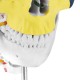1:1 Lifesize Human Skull Model Colored Skeleton Set Head Bone Joint Cervical Vertebra Simulation Medical Anatomy Medical Model 1:1 Lifesize Human Skull Model Colored Skeleton Set Head Bone Joint Cervical Vertebra Simulation Medical Anatomy Medical Model