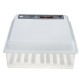 110-220V Eggs Incubator 64 Egg Automatic Hatchery Machine Goose Quail Chicken 110-220V Eggs Incubator 64 Egg Automatic Hatchery Machine Goose Quail Chicken