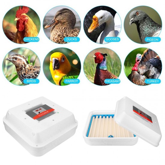 110/220V 70Pcs Eggs Incubator Fully Automatic Egg Hatcher Machine LED Turner Chicken Duck