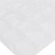 12 Cells Grain Trays Grainling Starter Tray Humidity Adjustable Plant Starting Kit With Dome And Base Greenhouse Grow Set Mini Propagator For Grains Growing 12 Cells Grain Trays Grainling Starter Tray Humidity Adjustable Plant Starting Kit With Dome And Base Greenhouse Grow Set Mini Propagator For Grains Growing