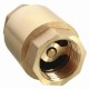 1/2 Inch NPT Vertical In Line Spring Loaded Brass Check Valve