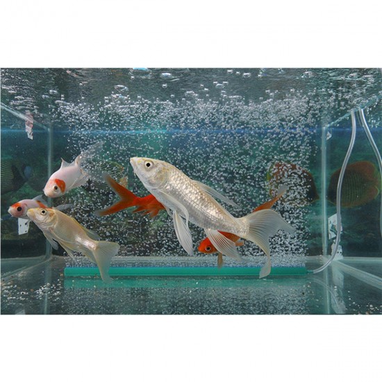 12/14/16'' Aquarium Pond Air Strip Stone Bubble Diffuser Bar Fish Tank Pond Aerator Pump Hydroponics