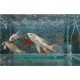 12/14/16'' Aquarium Pond Air Strip Stone Bubble Diffuser Bar Fish Tank Pond Aerator Pump Hydroponics 12/14/16'' Aquarium Pond Air Strip Stone Bubble Diffuser Bar Fish Tank Pond Aerator Pump Hydroponics