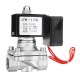 1/2'' AC220V Normally Closed Stainless Steel Energy Saving Electric Solenoid Valve Direct Motion