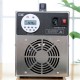 150W 220V 10g/h Ozone Generator Air Purifiers Ozonizer Air water Purifier Sterilizer treatment Ozone addition to formaldehyde for Home