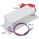 220V 10g Ozonater Ozone Generator with Ceramic Plate For Water Plant Air Cleaner