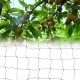 3 Size Black Anti Bird Net Rabbits Netting 15mm Mesh Veg Crops Plant Protection Net