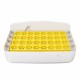 32 Digital Egg Incubator Hatcher Temperature Control Automatic Turning Chicken Incubator Tools US 32 Digital Egg Incubator Hatcher Temperature Control Automatic Turning Chicken Incubator Tools US