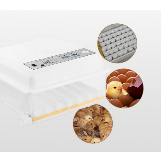 36 Eggs Chicken Automatic Digital Egg Incubator Hatchers Temperature Control