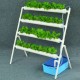 36 Site Holes Plant Hydroponic System Water Culture Grow Kit Garden Vegetables Planting Frame