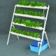 36 Site Holes Plant Hydroponic System Water Culture Grow Kit Garden Vegetables Planting Frame 36 Site Holes Plant Hydroponic System Water Culture Grow Kit Garden Vegetables Planting Frame