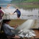 3M x 4M Hand Throw Fishing Net Nylon Monofilament Fish Gill Net Easy Throw Hand Casting Easy Throw 3M x 4M Hand Throw Fishing Net Nylon Monofilament Fish Gill Net Easy Throw Hand Casting Easy Throw