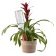 4Pcs/Set Modern Terracotta Clay Plant Watering Stakes Automatic Watering Spikes Long Neck Bottle Watering Device Drip Irrigation for Home Vacation 4Pcs/Set Modern Terracotta Clay Plant Watering Stakes Automatic Watering Spikes Long Neck Bottle Watering Device Drip Irrigation for Home Vacation