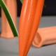 4Pcs/Set Modern Terracotta Clay Plant Watering Stakes Automatic Watering Spikes Long Neck Bottle Watering Device Drip Irrigation for Home Vacation 4Pcs/Set Modern Terracotta Clay Plant Watering Stakes Automatic Watering Spikes Long Neck Bottle Watering Device Drip Irrigation for Home Vacation
