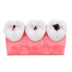 4X Detachable Human Dental Caries Teeth Tooth Decay Comparison Model Pathology Patient Education Medical Model