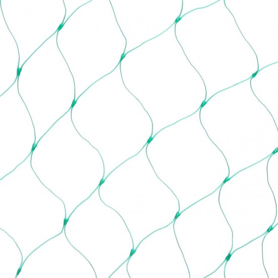 4mx6m Garden Plant Netting Bird Fruit Plants Crops Veg Protection Mesh Anti Bird Net 4mx6m Garden Plant Netting Bird Fruit Plants Crops Veg Protection Mesh Anti Bird Net