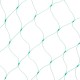 4mx6m Garden Plant Netting Bird Fruit Plants Crops Veg Protection Mesh Anti Bird Net