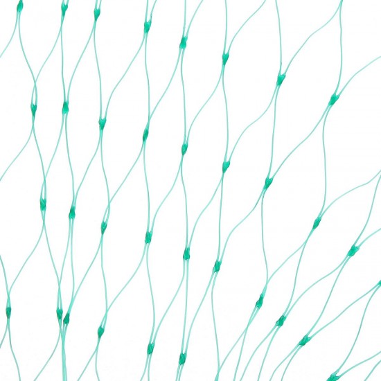 4mx6m Garden Plant Netting Bird Fruit Plants Crops Veg Protection Mesh Anti Bird Net 4mx6m Garden Plant Netting Bird Fruit Plants Crops Veg Protection Mesh Anti Bird Net