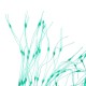 4mx6m Garden Plant Netting Bird Fruit Plants Crops Veg Protection Mesh Anti Bird Net 4mx6m Garden Plant Netting Bird Fruit Plants Crops Veg Protection Mesh Anti Bird Net