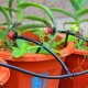 30M Automatic Sprinkler DIY Garden Watering Micro Drip Irrigation System Hose Kits 30M Automatic Sprinkler DIY Garden Watering Micro Drip Irrigation System Hose Kits