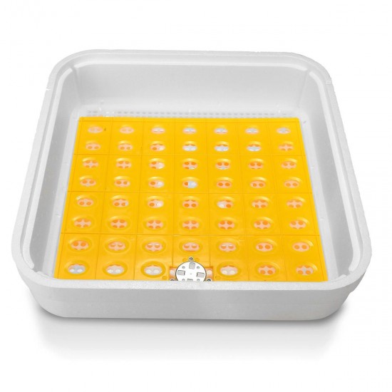 55 Position Egg Incubator 110V-240V Automatic Poultry Hatcher