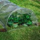5M Long Tunnel Garden Greenhouse Adjustable Grow Protect Plants Transparent PE