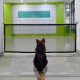 74x182cm Portable Car Magical Safety Gate Guard Fence Isolation Network for Pet Dog Puppy Cat