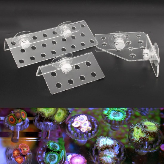 Acrylic Aquarium Coral Frag Plugs Rack Stand Bracket Holds Live Fish Tank Suction Cup