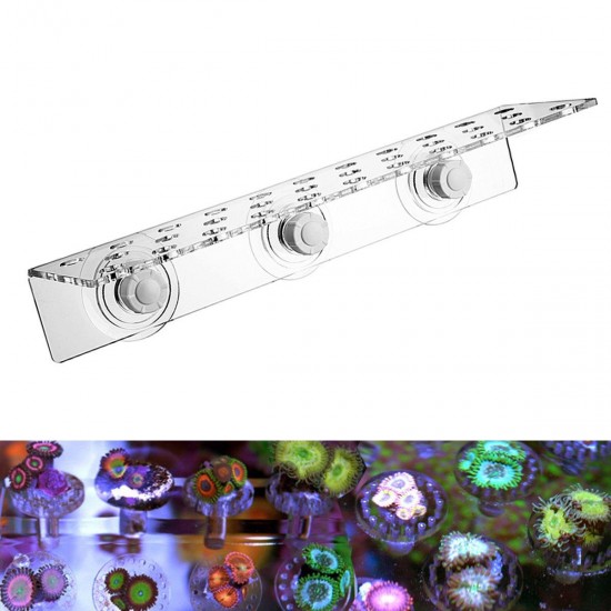 Acrylic Aquarium Coral Racks Bracket Holder Fish Tank Suction Cups Acrylic Aquarium Coral Racks Bracket Holder Fish Tank Suction Cups
