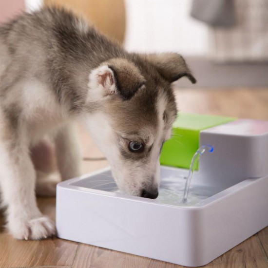 Automatic Pet Water Fountain Dog Cat Water Filter Bowl Automatic Pet Water Fountain Dog Cat Water Filter Bowl