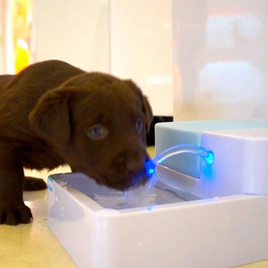 Automatic Pet Water Fountain Dog Cat Water Filter Bowl