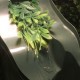 Automatic Waterer Reptile Drinking Water Feeding Drinkers Tools Fountain Chameleon Lizard Dispenser Terrarium Habitats Automatic Waterer Reptile Drinking Water Feeding Drinkers Tools Fountain Chameleon Lizard Dispenser Terrarium Habitats