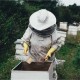 Beekeeping Protective Equipment Jacket Veil Full Body Suit Hat Smock Beekeeping Tools Set Beekeeping Protective Equipment Jacket Veil Full Body Suit Hat Smock Beekeeping Tools Set