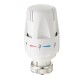 G1/2''/G3/4''/G1'' Standard Thermostatic Angled Radiator Brass Valve For Five Temperature Settings G1/2''/G3/4''/G1'' Standard Thermostatic Angled Radiator Brass Valve For Five Temperature Settings