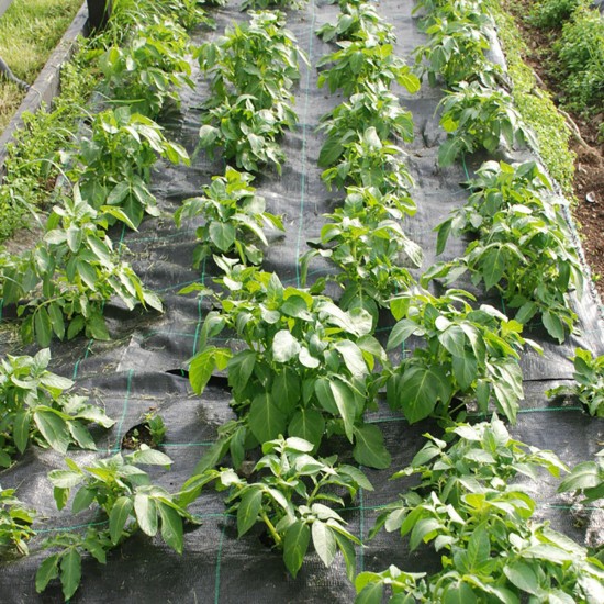Garden Cover Weed Control Fabric Membrane Garden Landscape Ground Cover Mat 90gsm Garden Cover Weed Control Fabric Membrane Garden Landscape Ground Cover Mat 90gsm